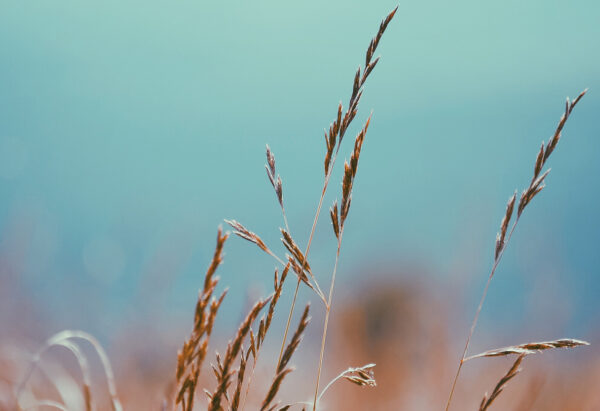 Blessings Out of Blastings