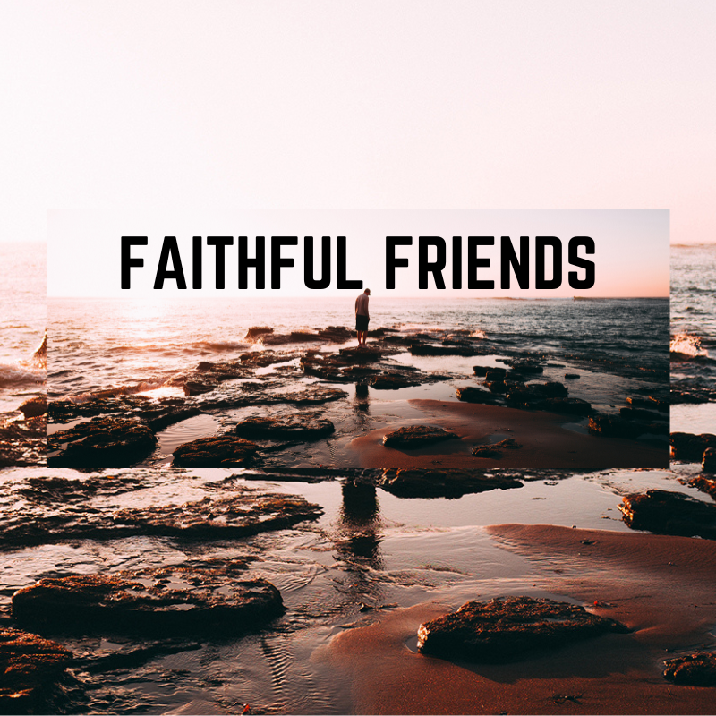 ታማኝ ወዳጆች