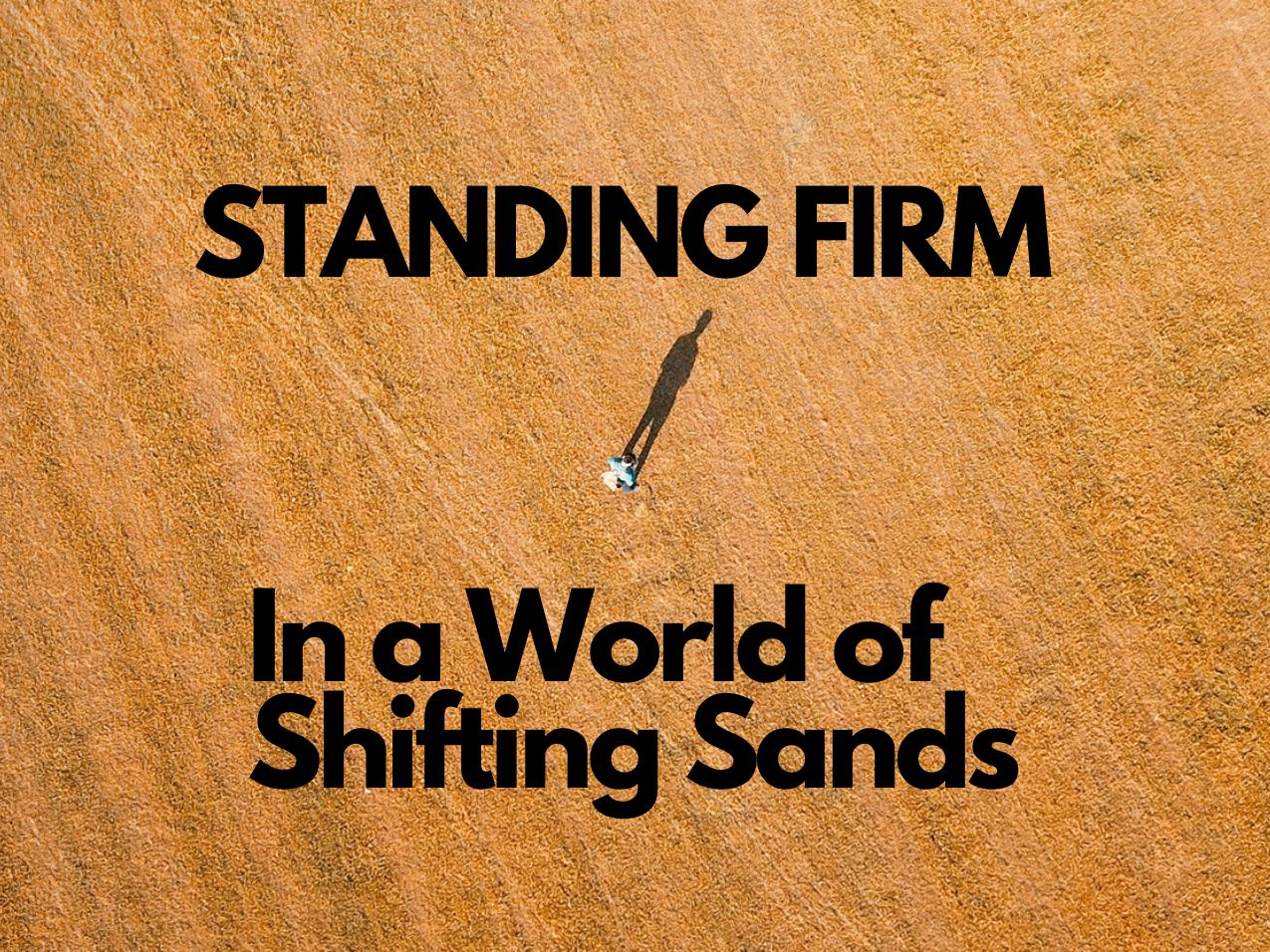 الصمود بثبات في عالم الرمال المتحركة