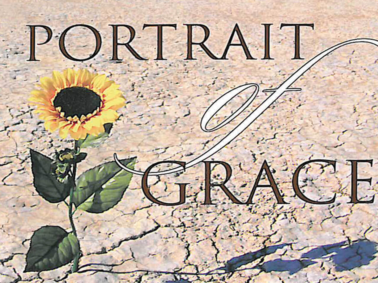 صورة النعمة وملامحها