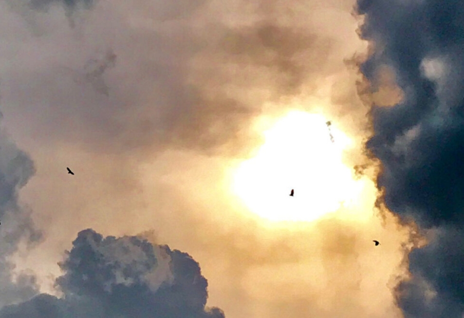 Foundations of Discipleship