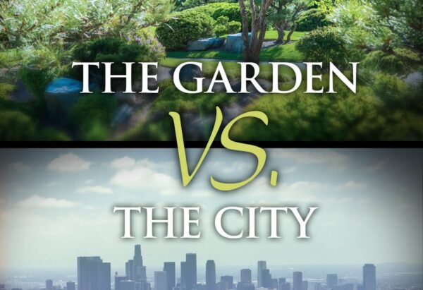 Contraste entre Le jardin et la cite 01